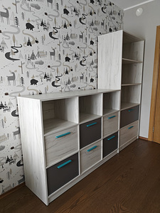 Riidekapp (lastetoa mööbel) (5 foto / 5)