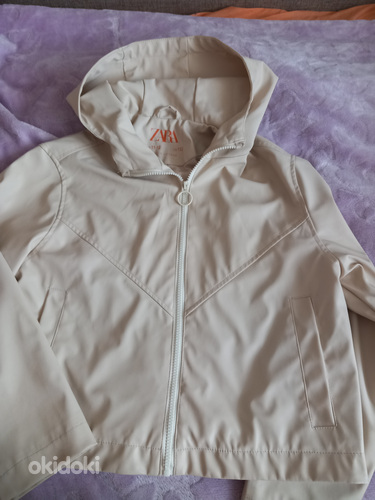 Kerge jope Zara