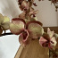 Ваза с орхидеями shishi (фото #3)