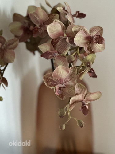 Ваза с орхидеями shishi (фото #5)