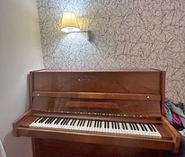Красивое классическое фортепиано Рига