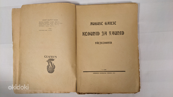 Raamat aastast 1919 (foto #2)