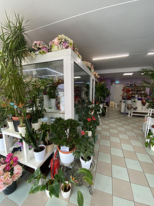 Külmik (äri jaoks mõeldud seadmed) (4 foto / 5)
