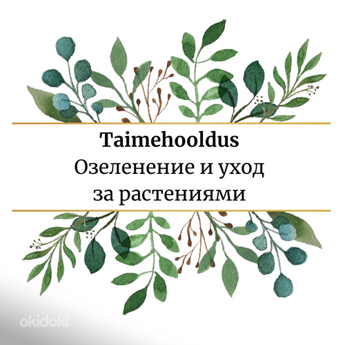 Уход за растениями Taimehooldus (фото #1)