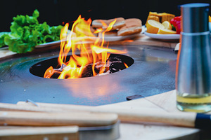Unikaalne grill / grill / grillkolle koos kohaletoomisega Ee (6 foto / 9)