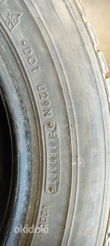Rehvid Dunlop Graspic 195/65 r15 (foto #2)