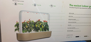 The Smart Garden 9, Click and Grow (4 foto / 4)