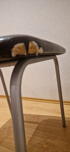 Rullmassaazi aparaat (6 foto / 7)