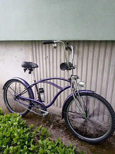 USA Dyno glide delux Cruiser (5 foto / 5)