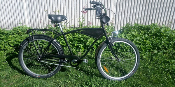 Cruiser 1980