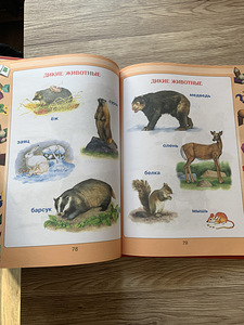 Raamat pisematele (3 foto / 5)