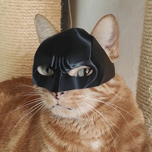 Universaalne kassile mõeldud Batman mask (5 foto / 5)