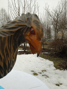 Müüa väga kaunis ,suur kodkas jalgade juures väike linnuke (2 foto / 7)