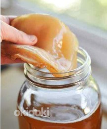 Teeseen (kombucha)
