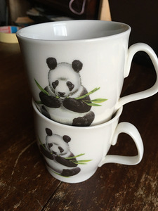Kruus pandaga, WWF 2 tk (3 foto / 3)