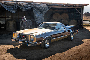 Ford Ranchero Brougham 6.6 V8 BigBlock 124kW (15 foto / 15)