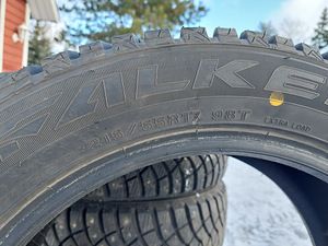 Winterpeak F-ICE (R17) naastrehvid (5 foto / 6)