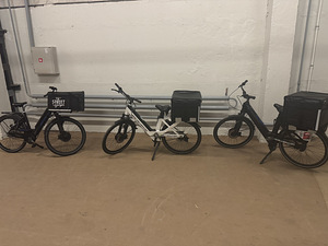 Elektrijalgrataste rent kulleritele EB4D (1 foto / 4)