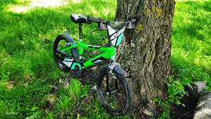 Велосипед для мальчика Dino Bikes 16" (2 фото из 2)