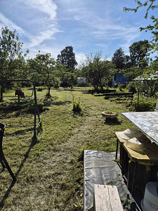 Kallavere, Jõelähtme vald, Harjumaa (4 foto / 21)