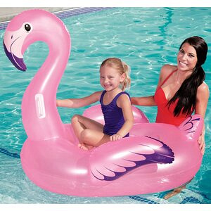 Laste täispuhutavad flamingo ja luikene (3 foto / 4)