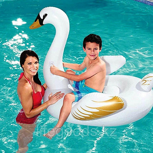 Laste täispuhutavad flamingo ja luikene (4 foto / 4)