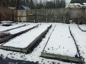 Mägine tee, Ülgase, Jõelähtme vald, Harjumaa (5 foto / 15)