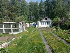 Mägine tee, Ülgase, Jõelähtme vald, Harjumaa (1 foto / 15)