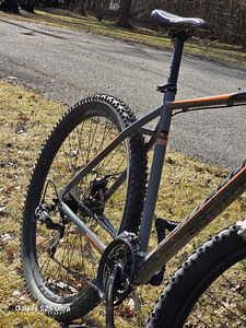 BOTTECCHIA 109 29'' MOUNTAIN BIKE (3 foto / 3)