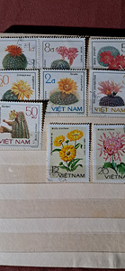 Müüa margid (5 foto / 6)