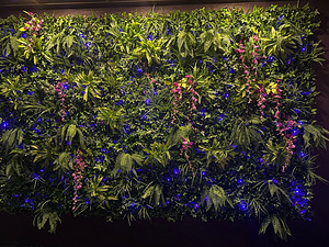 Vertikaalne aed-Fitowall/Fito sein-aed (2 foto / 2)