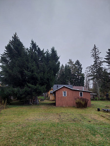 Paju AÜ 23, Laitse, Saue vald, Harjumaa (14 фото из 24)