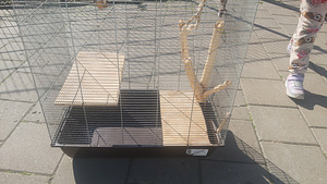 Puur degu tšintšilale 58x38x55cm (1 foto / 1)