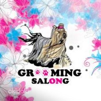 Grooming salon (foto #8)