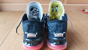 Nike Lebron korvpallitossud / korvpallijalanõud (4 фото из 6)