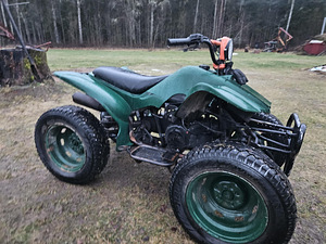 150cc квадроцикл (1 фото из 4)
