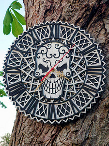Unikaalne Eukalüptist Seinakell "Skull-Time" | 35cm (2 foto / 3)