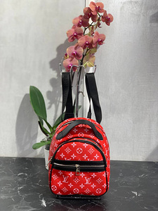 Seljakott Louis Vuitton (1 foto / 2)