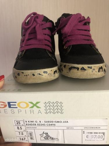 Geox кожаные в/о ботинки, размер 25 (фото #3)
