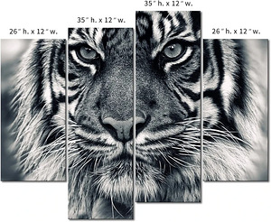 Seinapilt Tiiger/ UUS/ 4 osa/ must-valge/ suur/ kodu/ kontor (7 foto / 9)