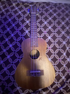 Ukulele
