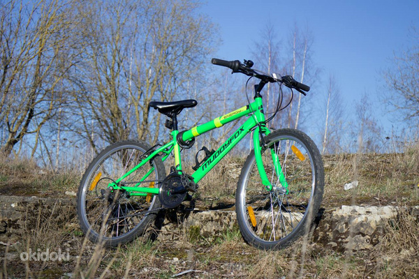 Jalgratas 24"