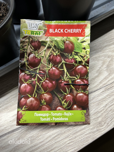 Саженцы помидоров черри black cherry (фото #2)