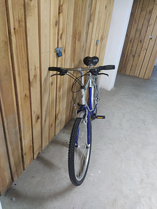 Meeste jalgratas (2 foto / 2)