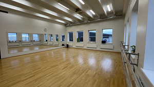 Fit Factory Studio - Saalide Rent (5 foto / 9)