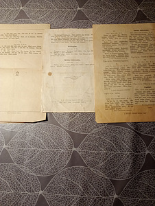 Piibli raamat 1933a. 308 lk. Vana ja uus seadus. Püha Kiri. (6 foto / 7)