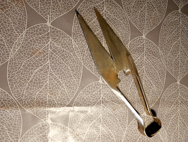 Lamba käärid kala rookimiseks 5 Tk.