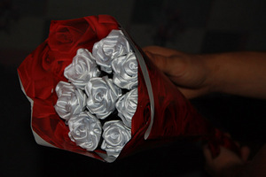 Roosid lintidest (1 foto / 7)