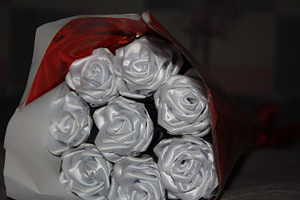 Roosid lintidest (6 foto / 7)