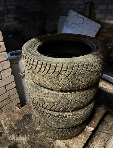 225/55R17 Triangle Icelynx